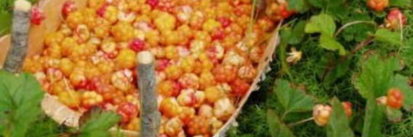 Джем из морошки