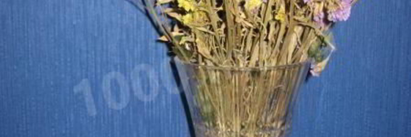 Апельсиновый компот из апельсинов