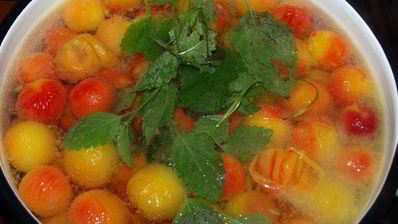 компот из алычи с мелиссой