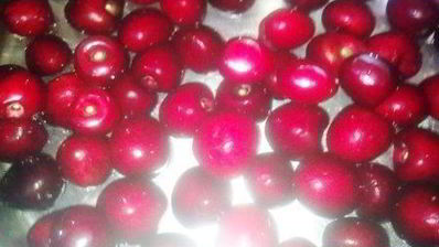 компот из черешни