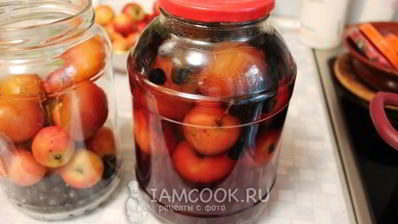 компот из ранеток и черноплодки на зиму