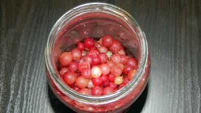 компот из смородины и крыжовника на зиму