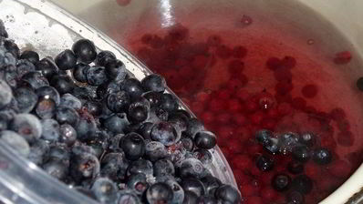 ягодно-яблочный компот