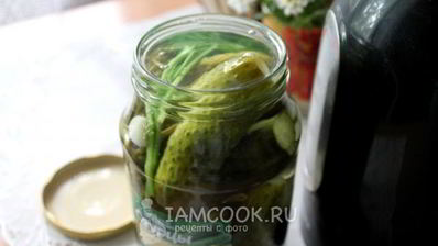 квашеные огурцы на зиму без уксуса
