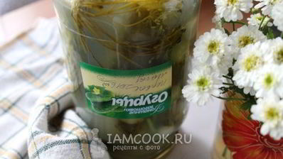 квашеные огурцы на зиму без уксуса