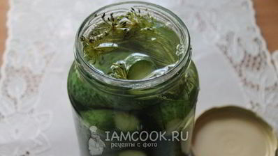 квашеные огурцы на зиму без уксуса