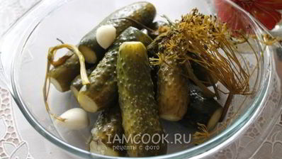 квашеные огурцы на зиму без уксуса