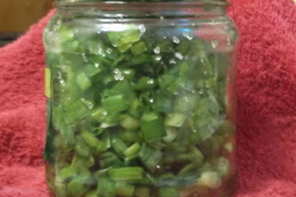 Лук зеленый на зиму