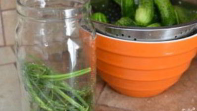 быстрые маринованные огурцы