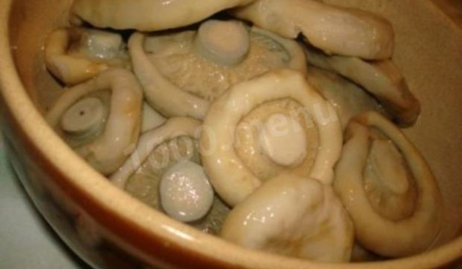 Рецепт груздей маринованных