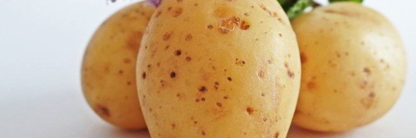 Маринованный картофель на зиму