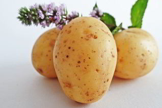 Маринованный картофель на зиму