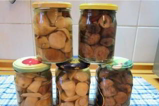 Маринованные белые грибы с корицей