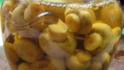 маринованные грибочки на зиму