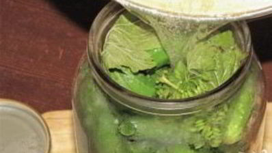 маринованные корнишоны