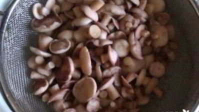 маринованные маслята