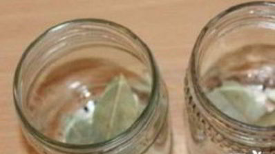 маринованные маслята