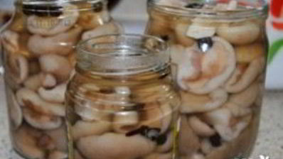 маринованные маслята