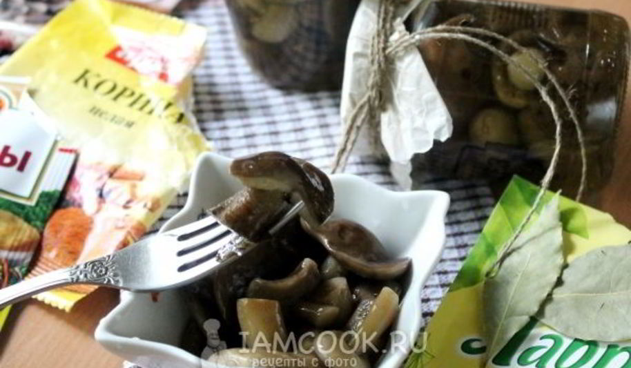 Рецепт маринованных подберезовиков