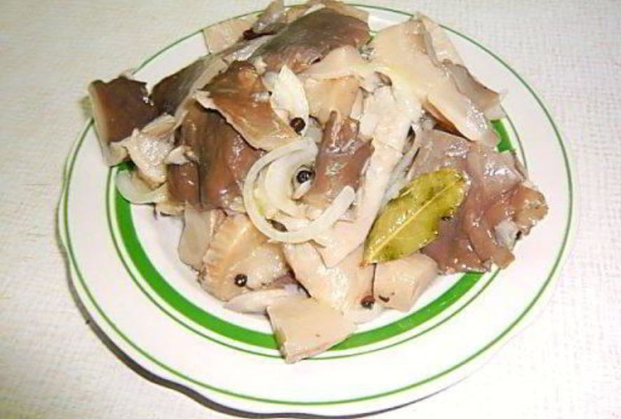 Маринованные вешенки