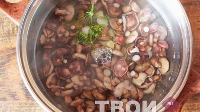 маслята маринованные