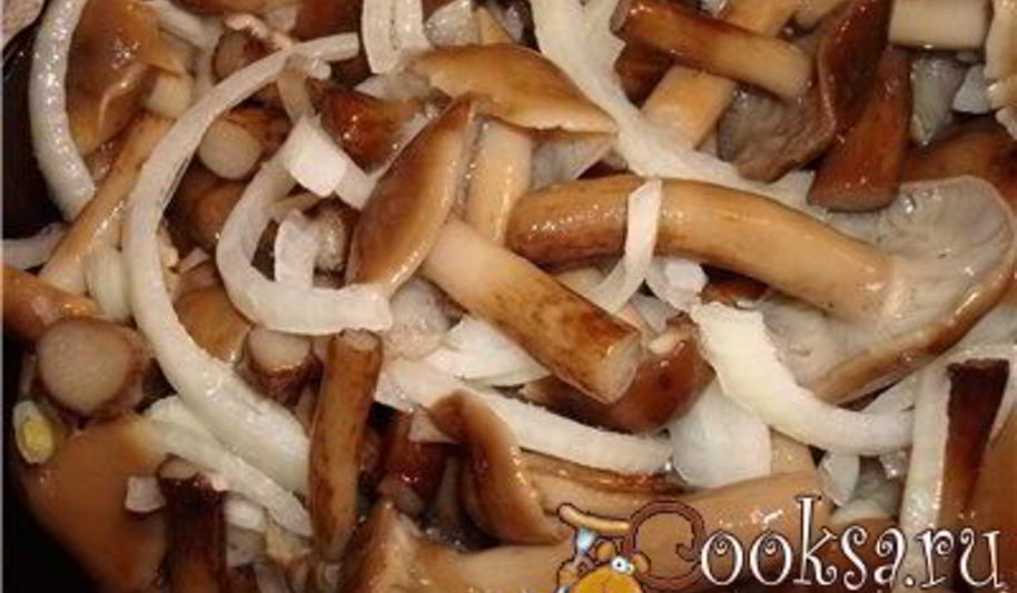 Рецепт опят маринованных с луком на зиму