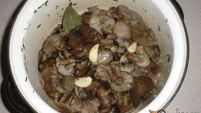 опята маринованные с луком на зиму
