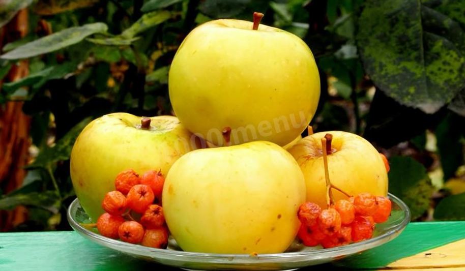 Рецепт моченых яблок на зиму