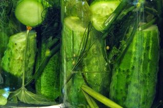 Огурцы горячим способом на зиму