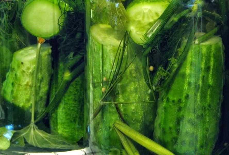 Огурцы горячим способом на зиму