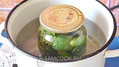 огурцы на зиму в литровых банках