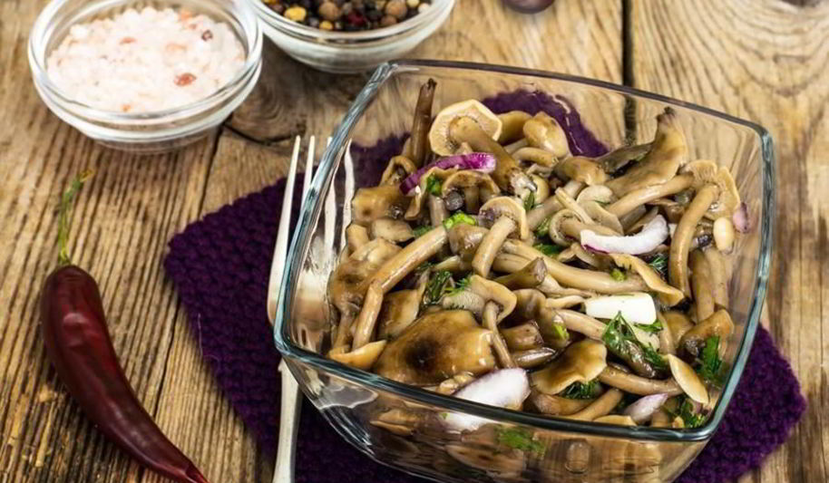 Рецепт опят соленых на зиму