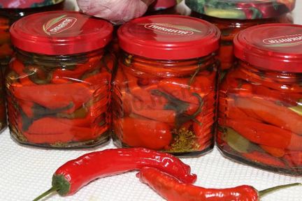 Перец чили на зиму