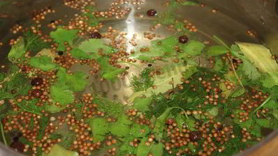 перец чили на зиму