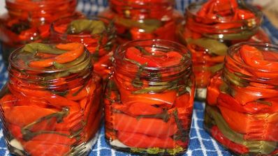 перец чили на зиму