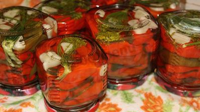 перец чили на зиму