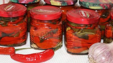 перец чили на зиму