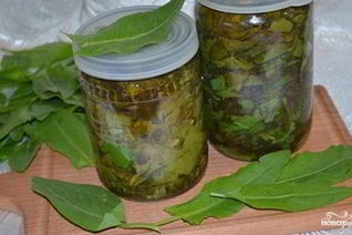 Щавель на зиму