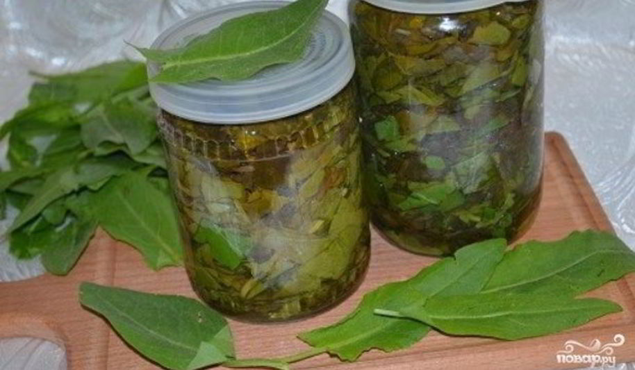 Рецепт щавеля на зиму