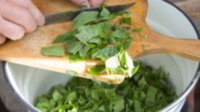 щавель на зиму