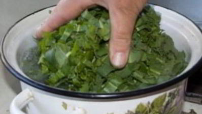 щавель на зиму