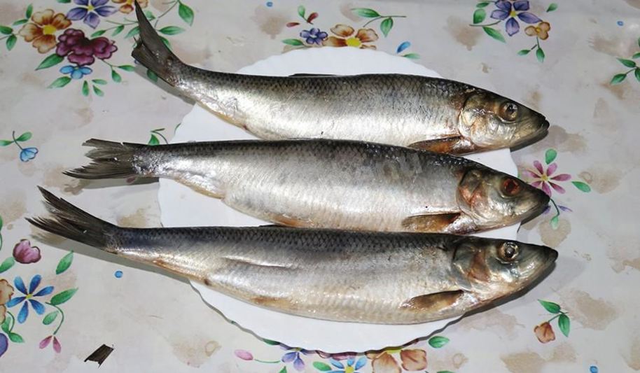 Рецепт домашней соленой селедки