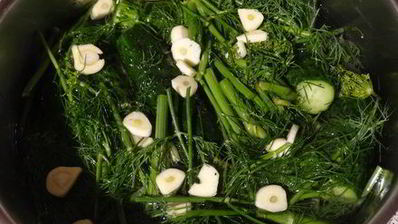 хрустящие малосольные огурчики