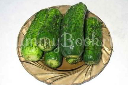 Малосольные огурчики без рассола