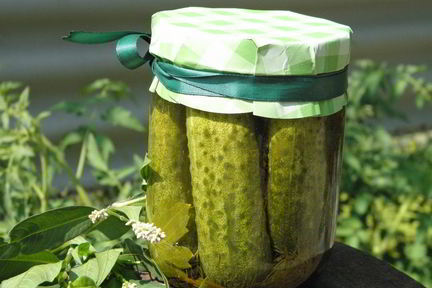 Малосольные огурчики на зиму