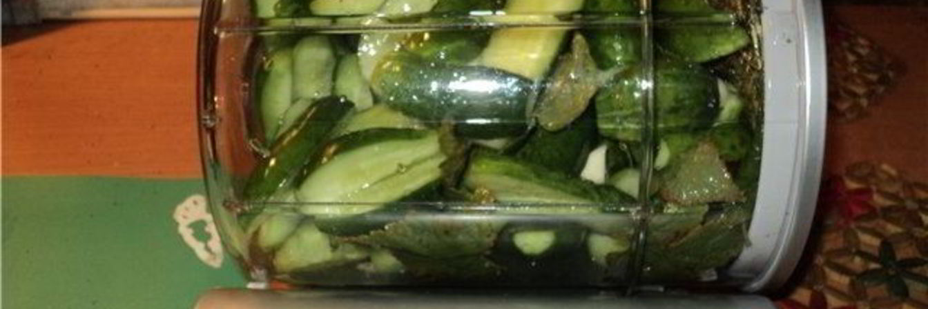 Малосольные огурцы в маринаторе
