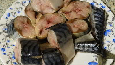 скумбрия домашнего посола