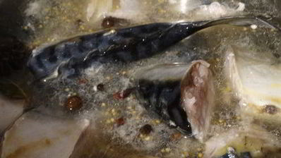 скумбрия домашнего посола