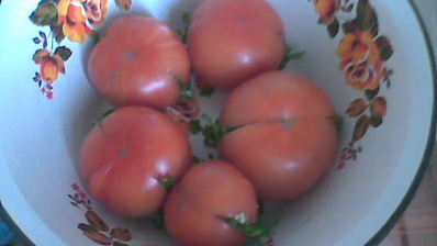 соленые бурые помидоры