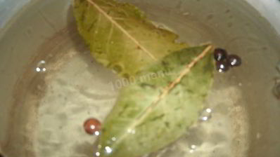 суточная капуста с чесноком